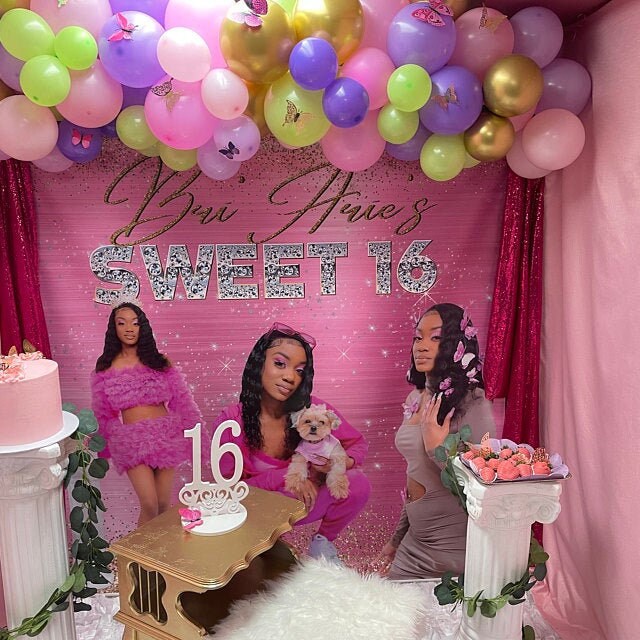 Sweet 16 backdrop, Photo backdrop, Photo step and repeat, Prom backdrop, 21st birthday step and repeat, pink backdrop, sweet 16 photo