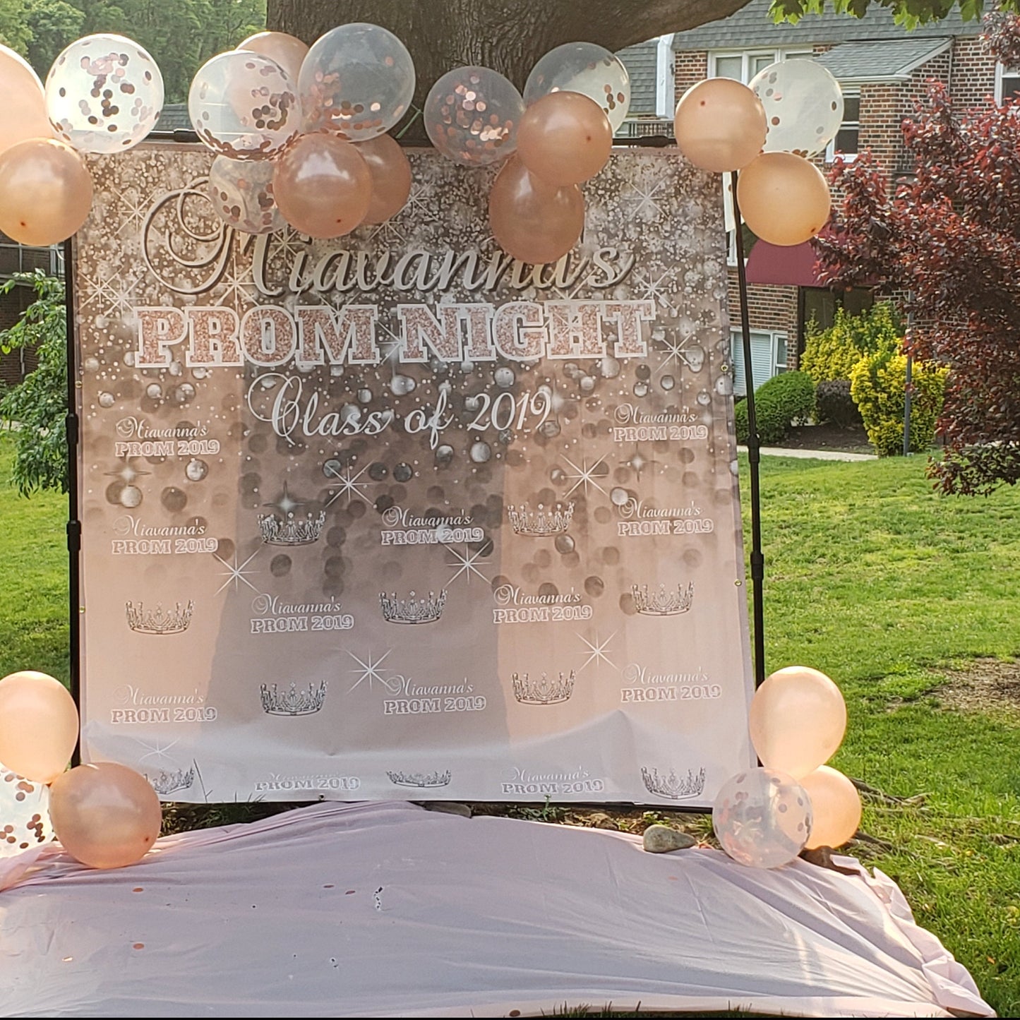 Prom Step and Repeat Backdrop