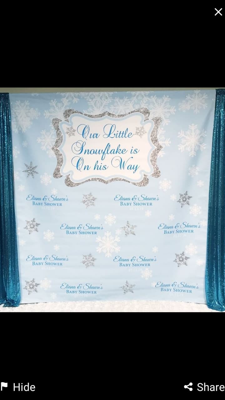 Winter wonderland Blue Step and Repeat Backdrop