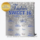 Sweet 16 Princess Blue and Silver Custom Step and Repeat Backdrop