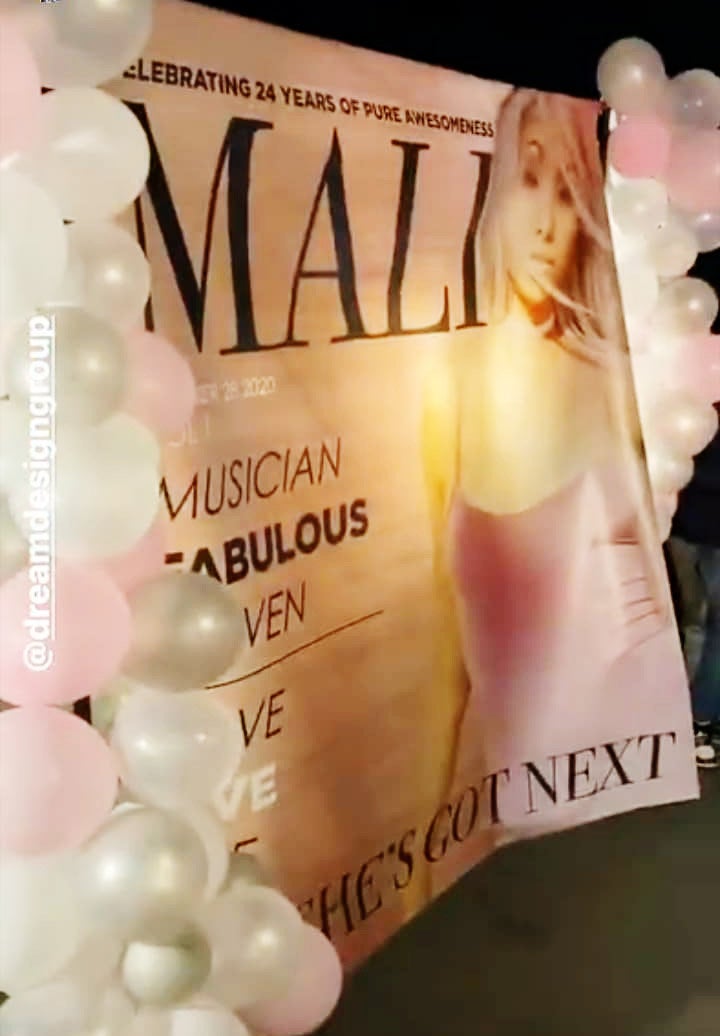 Wedding backdrop, Wedding Step and Repeat, Magazine Cover Backdrop, Magazine Cover step and repeat, Engagement backdrop, photo backdrop